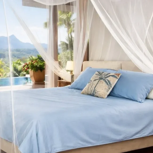imageye___-_imgi_108_complete-guide-mosquito-nets-1-